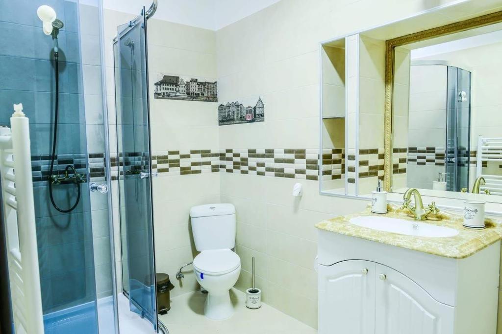 Mary Apartment Old Town Брашов Екстер'єр фото