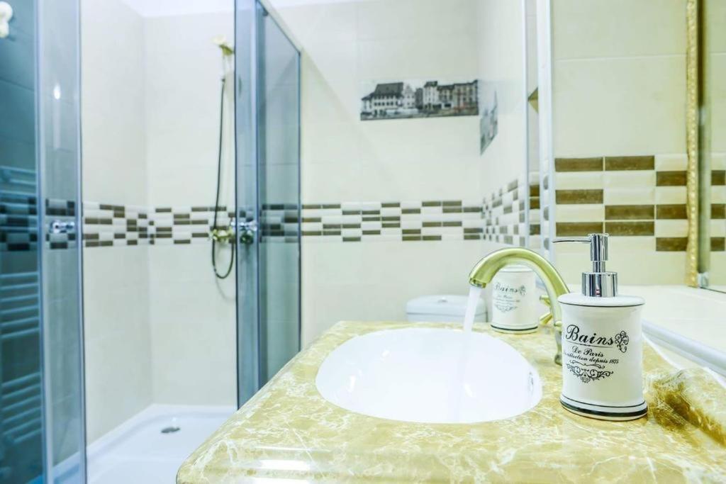 Mary Apartment Old Town Брашов Екстер'єр фото